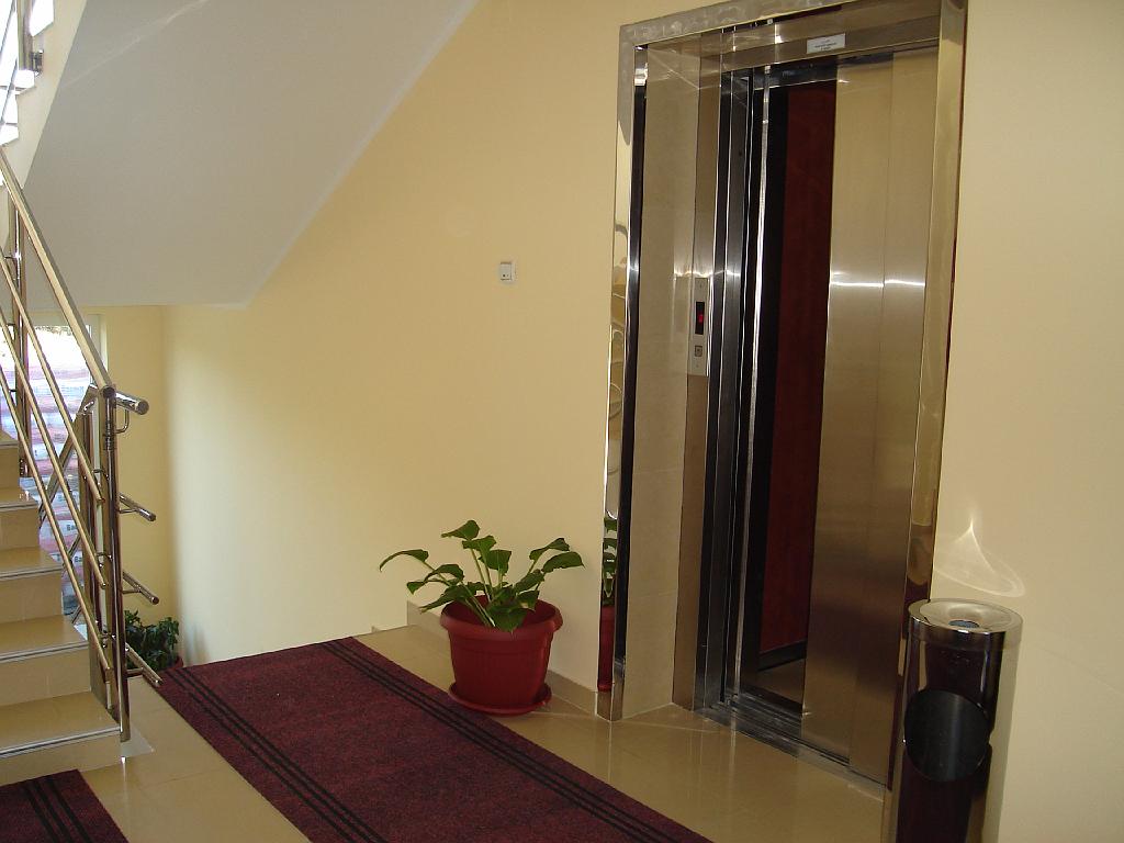 DSC03513.jpg