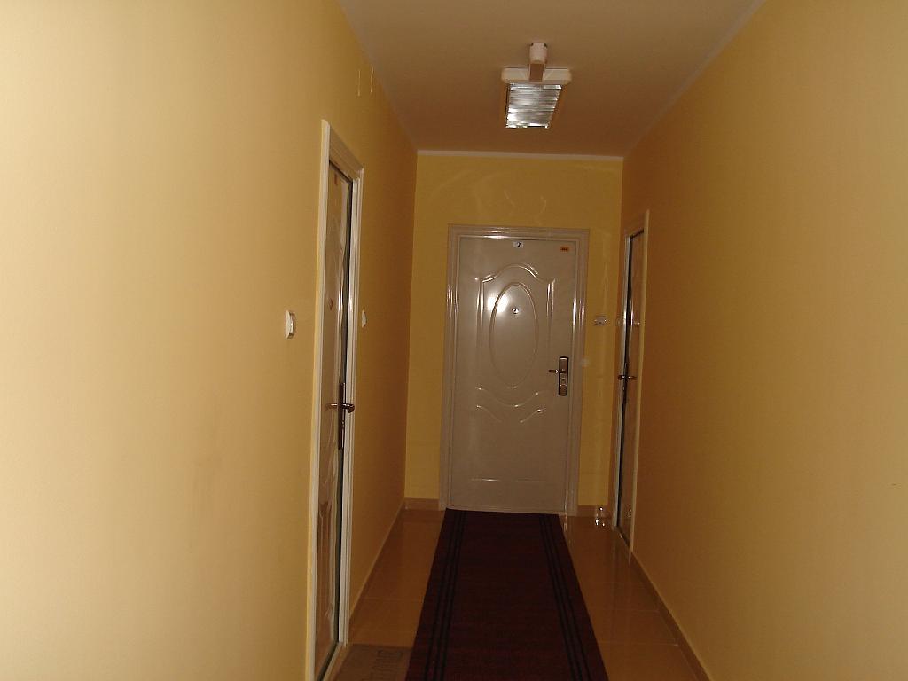 DSC03527.jpg