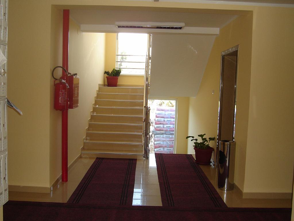 DSC03531.jpg